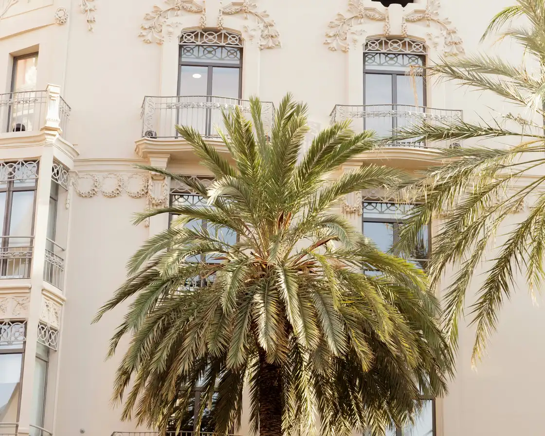 Ornate residential facade and palm tree in Valencia